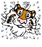 Tigerw&auml;sche